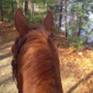 Meet your Posher, Lynne